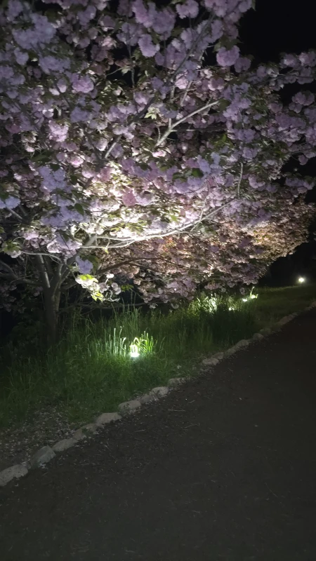 第1533回 豊中中央ライオンズクラブ例会(家族例会)